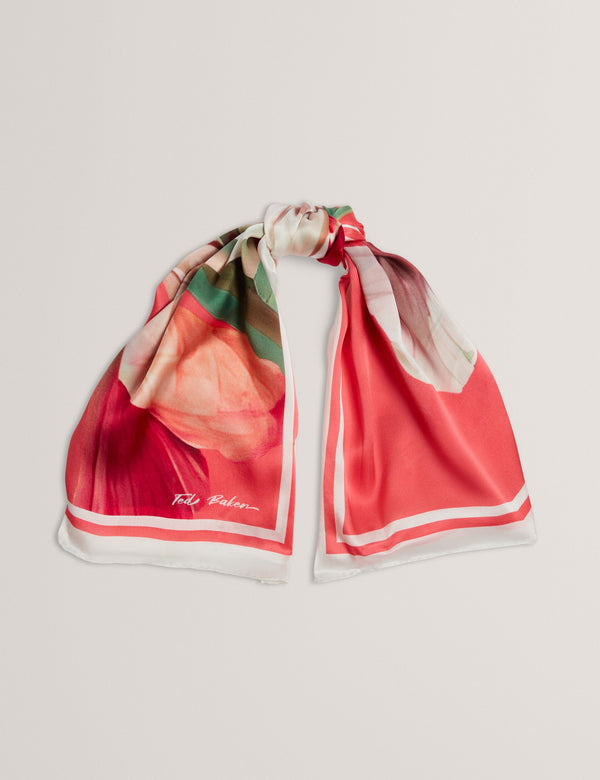 TICCI | CORAL