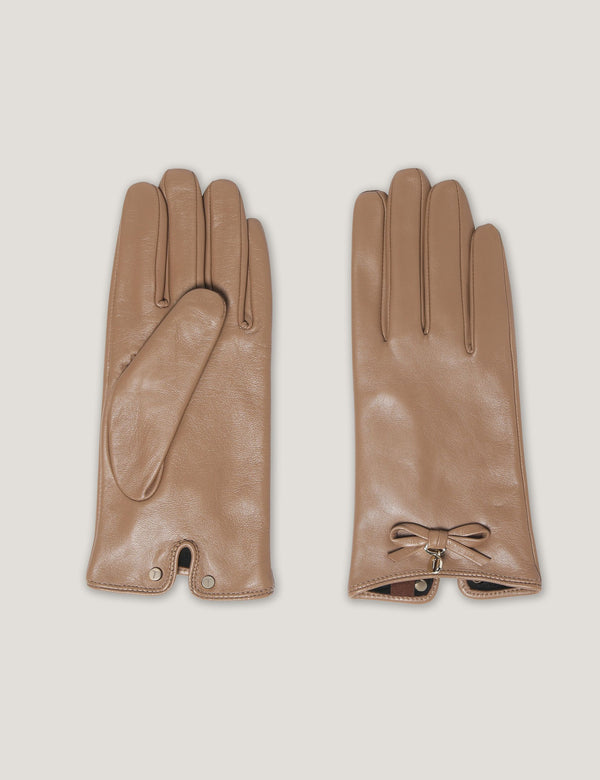 SHERYYS | CAMEL