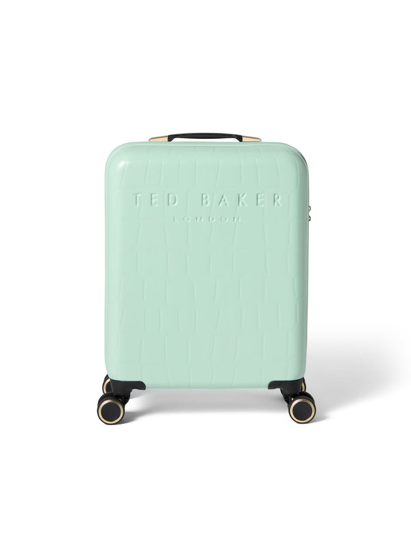 ICONCASE-MNTC | PALE GREEN