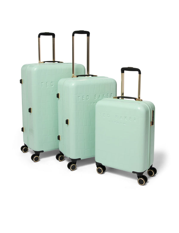 ICONCASE-MNTC | PALE GREEN