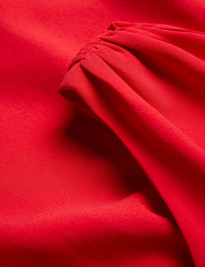 AISLI | RED