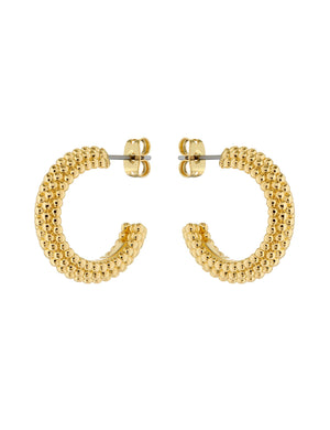 DOTETTA | GOLD