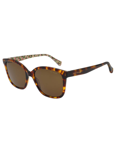 SHANEY | CLASSIC TORT