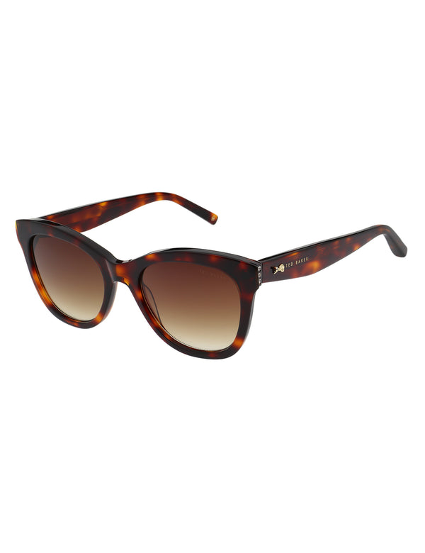 ARIELACT | TORTOISESHELL