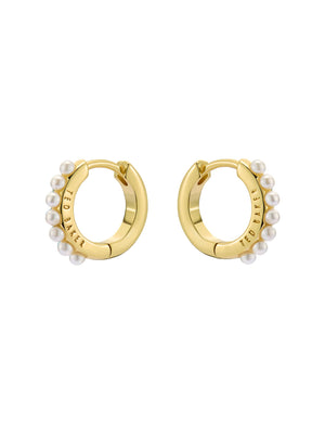 PERSIA  | GOLD