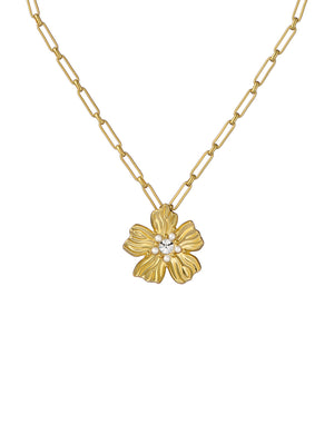 PETRICE | GOLD