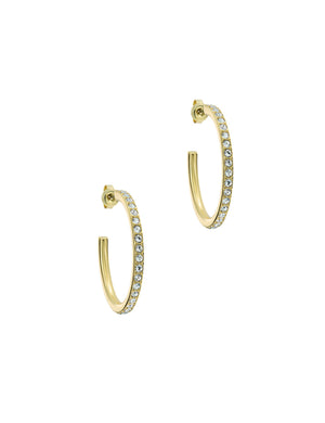 CLANCI | GOLD