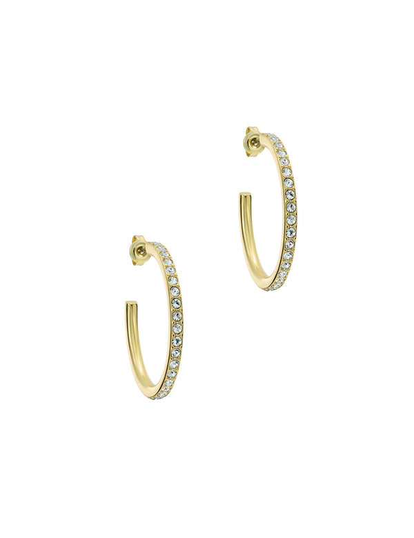 CLANCI | GOLD