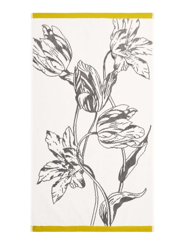 TULIPHT | GOLD