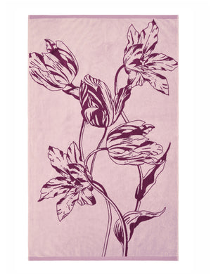 TULIPHT | ROSE