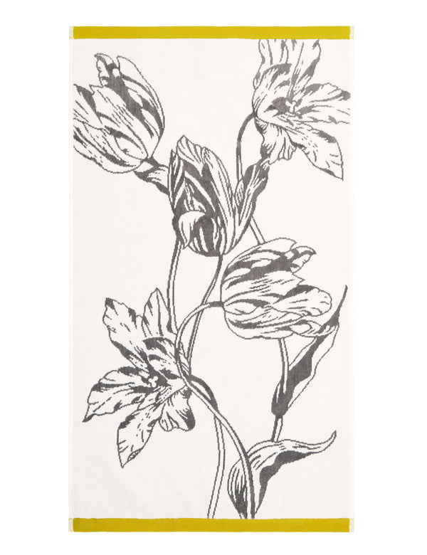 TULIPBS | GOLD
