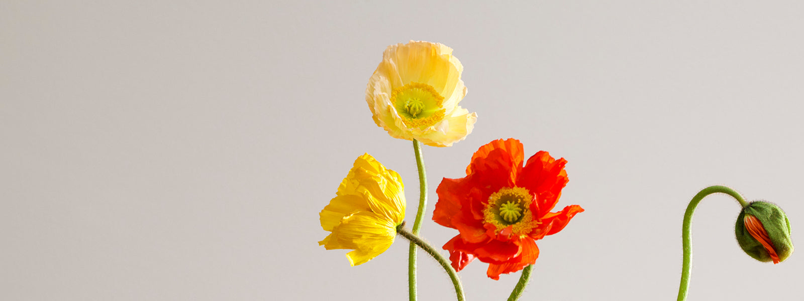 Women's Swimwear & Beachwear