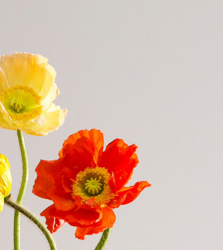 Women's Swimwear & Beachwear