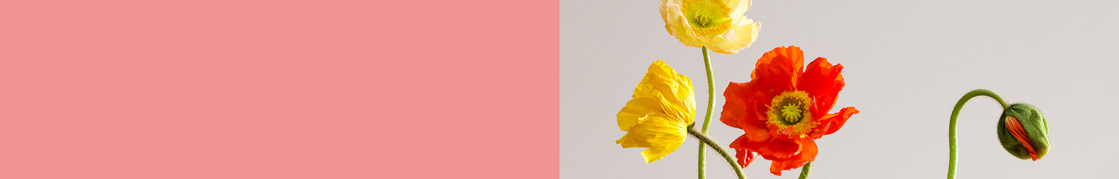 Women's Coats & Jackets